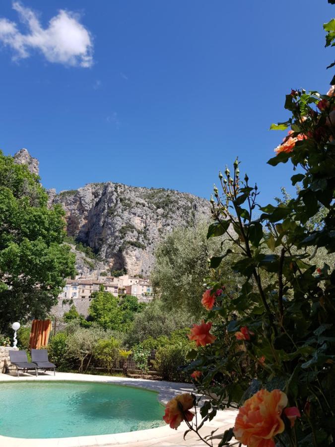 Bastide Des Oliviers Bed & Breakfast Moustiers-Sainte-Marie Exterior photo