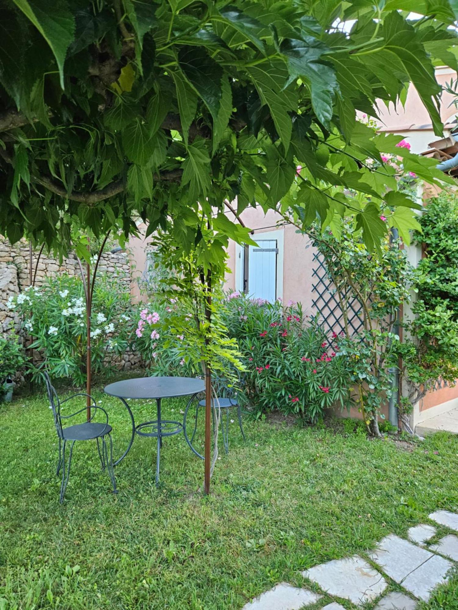 Bastide Des Oliviers Bed & Breakfast Moustiers-Sainte-Marie Exterior photo