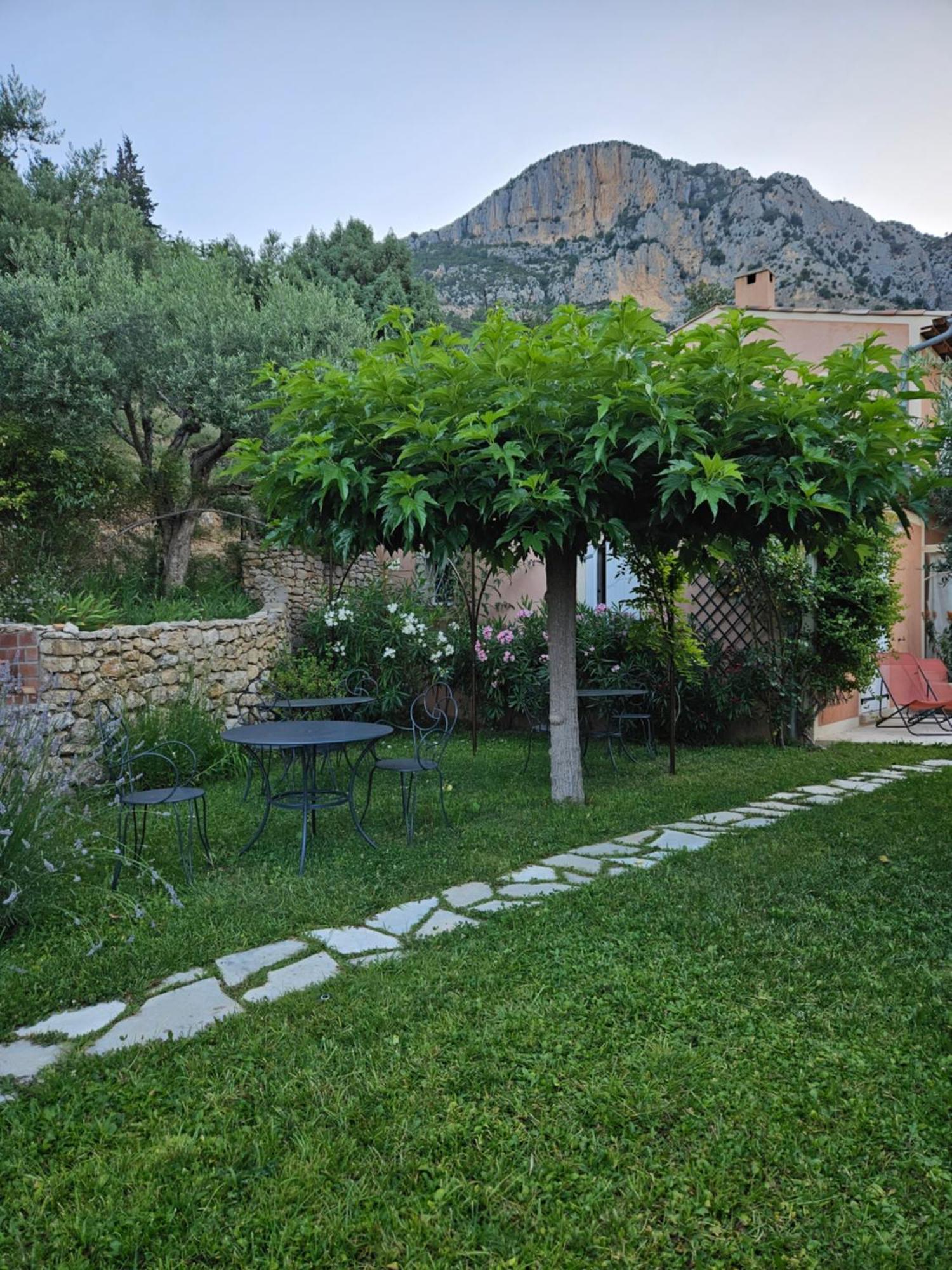 Bastide Des Oliviers Bed & Breakfast Moustiers-Sainte-Marie Exterior photo